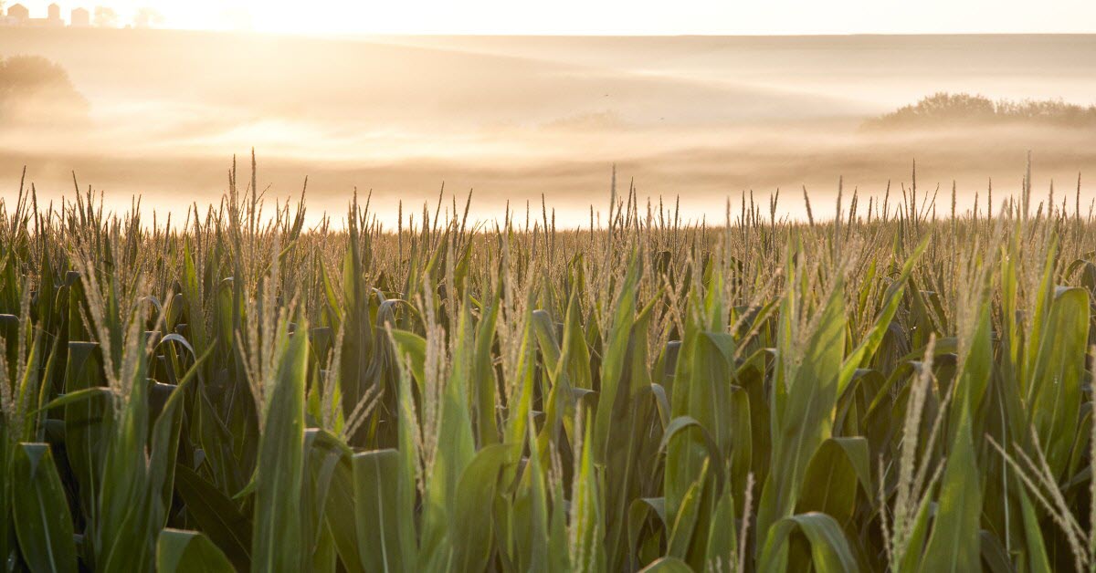 Summer Weather Impacts Futures