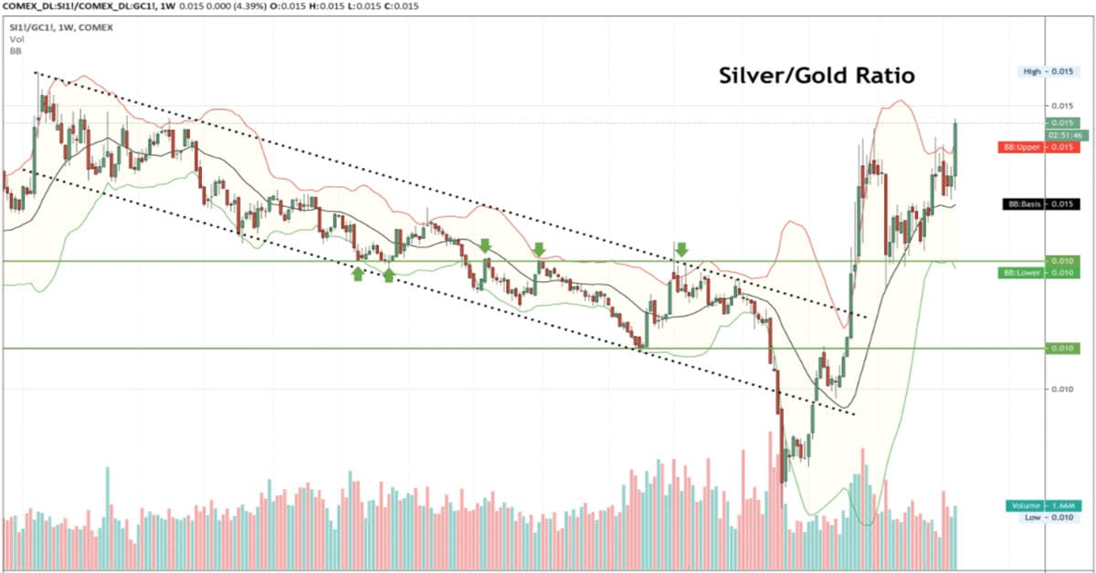 Can The Silver Bugs Alter The Macro?