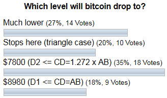 Bitcoin Poll