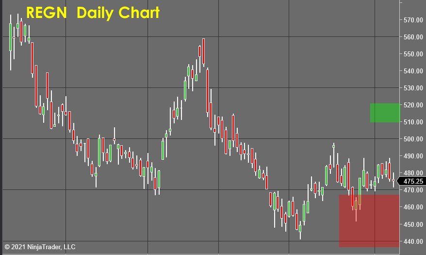 REGN Daily Chart - stock market forecast 