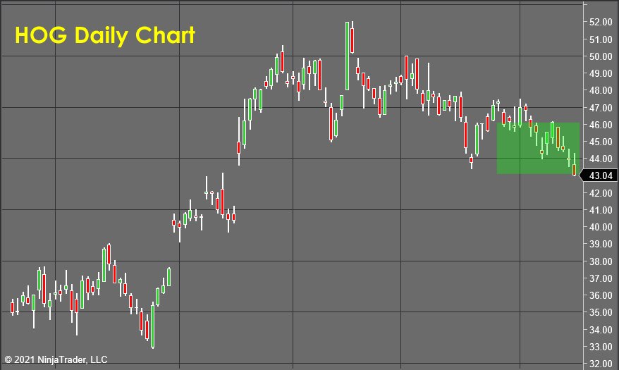 Hog Daily Chart - Stock Market Forecast