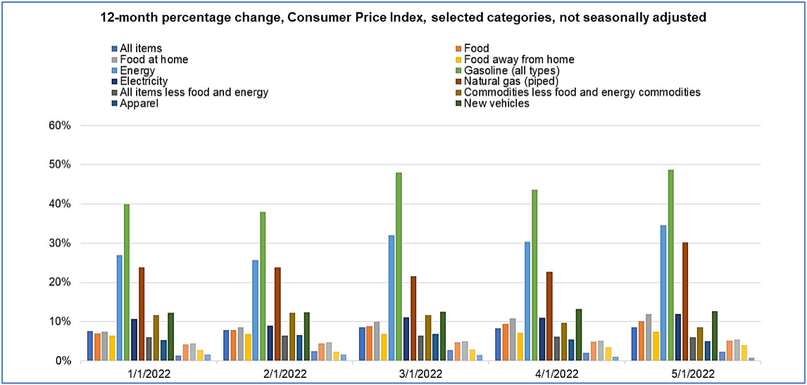 Consumer Price Index - 12 Month Percentage Change